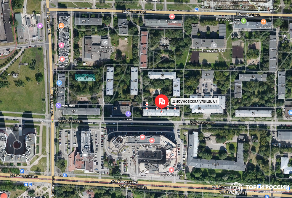 Квартира, расположенная по адресу г. Санкт-Петербург, ул. Дибуновская, д. 61, лит. А, кв. 28 общ. пл